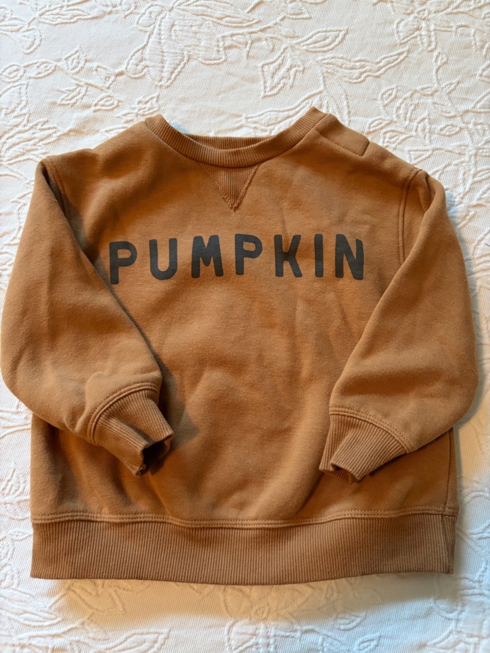 Little co 18m Kids Pumpkin Graphic Crewneck Sweatshirt -